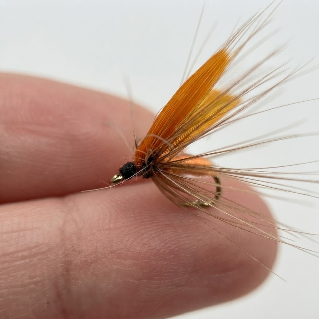 10 ชิ้น/กล่อง เหยื่อตกปลาแบบเป - Fishing Hook Assortment บทวิจารณ์และราคา